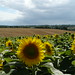Dan Bain Photo 14