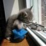 Deborah Hubbard Photo 9