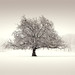 Neil Williams Photo 15