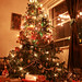 Kelvin Wong Photo 31