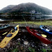 Ray Pollock Photo 33
