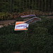 Larry Gallegos Photo 8