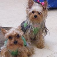 Pamela Whiting Photo 38