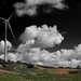 Bolanos Campos Photo 8