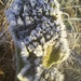 Chrystal Allen Photo 7
