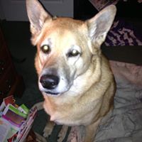 Janet Keener Photo 8