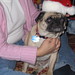 Teresa Bailey Photo 38