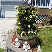 Janice Hudson Photo 20