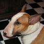 Shirley Madison Photo 34