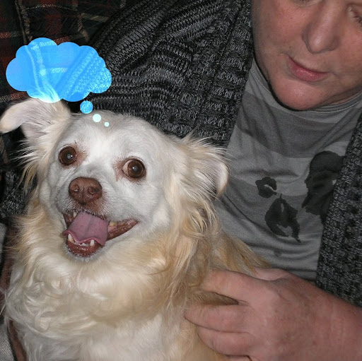 Janis Allen Photo 29