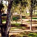 Murray Darling Photo 5