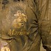 David Hanauer Photo 20