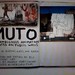 Julie Mercurio Photo 11