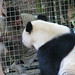 Lisa Bryant Photo 39
