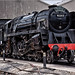 David Sheppard Photo 32