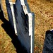 Ann Reynolds Photo 38