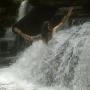 David Wagner Photo 18
