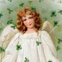 Mary Bolger Photo 13