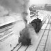 Lorraine Winters Photo 18