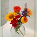 Dianne Day Photo 11