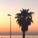 Manuel Soler Photo 11