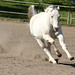 Fred Crow Photo 10