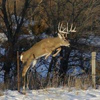 Danny Biddle Photo 9