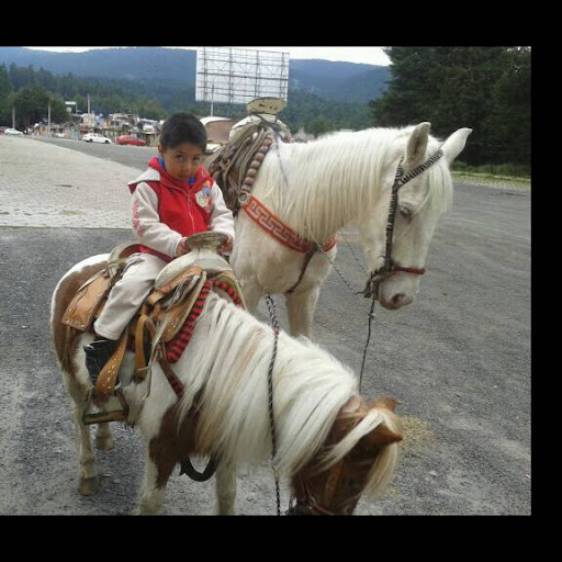 Thelma Vargas Photo 20