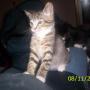 Shelley Wagner Photo 20