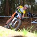 Daniel Mcconnell Photo 9