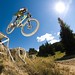 Eric Wolfe Photo 19
