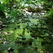 Elizabeth Wild Photo 11