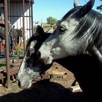 Robin Culp Photo 12