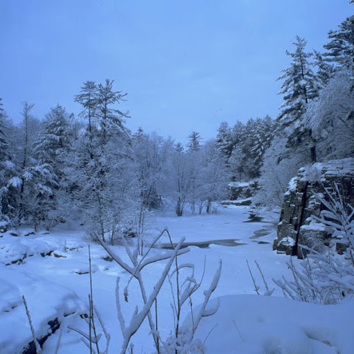 Jean Brown Photo 40