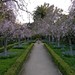 Elizabeth Gamble Photo 41