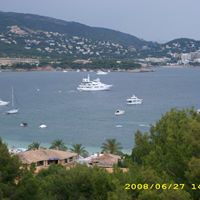 Nancy Falk Photo 24