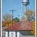Nancy Pettit Photo 16