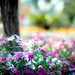 Ester Flores Photo 41