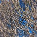 April Branch Photo 34