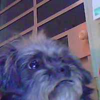 Nicholas Paez Photo 4