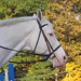 Casper Gray Photo 13