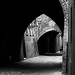 Marc Ferrara Photo 31