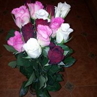 Paula Oliver Photo 30