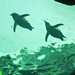 Amanda Jewell Photo 40