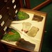 Judith Magee Photo 8