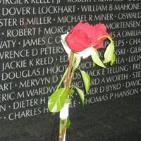 Paula Hamrick Photo 23