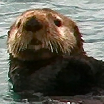 Heike Busch Photo 8