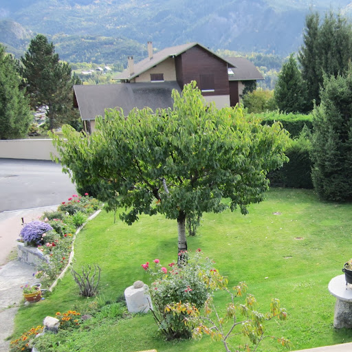 Marie Ferraro Photo 11