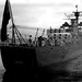 Allan Stern Photo 31