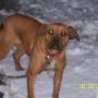 Judy Knowles Photo 27